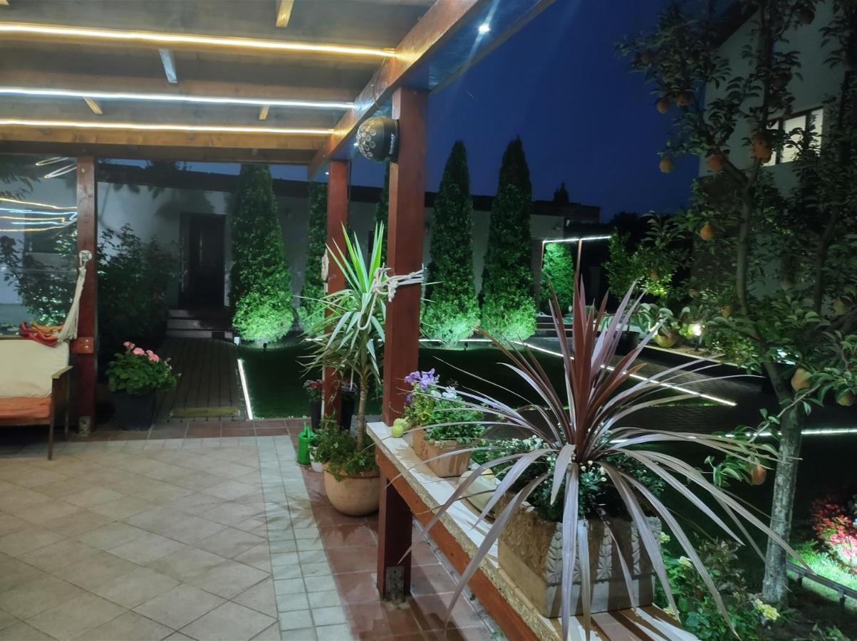 Vila Ramona Otopeni Dış mekan fotoğraf