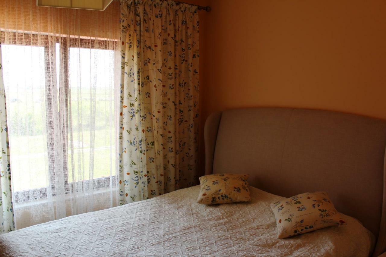 Vila Ramona Otopeni Dış mekan fotoğraf